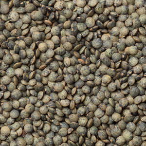 Lentilles Rouges Biologiques en Gros : Stock Disponible de Lentilles Rouges Concassées en Vrac - Product Image 3