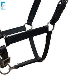 Cabestro de Cuero Personalizado para Montar a Caballo, Herrajes de Latón Macizo, Estilo de Silla de Montar Occidental, Color Personalizado de Alta Calidad, Logotipo Fizzan - Product Image 4