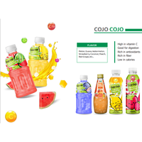 Bouteille de jus de melon de 320 ml (10,2 fl oz) avec gelée de noix de coco Nata de Coco - Fabricant - Marque privée OEM