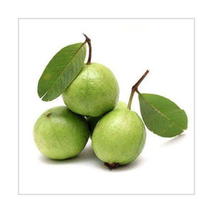 Fruits de goyave frais, sucrés, juteux, aromatiques, produits tropicaux de haute qualité, acheteurs en gros, exportateurs, commerciaux - Product Image 3