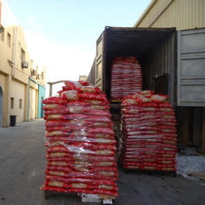 Pâtes Bella 5 kg |   Toutes les formes disponibles |   Penne, Elbow et plus encore - Product Image 6