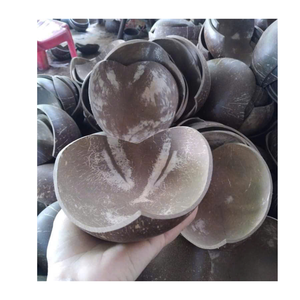 Cuenco de cáscara de coco, opción natural, sostenible y biodegradable para una vida consciente y experiencias gastronómicas ecológicas - Product Image 1