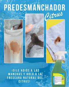 น้ำยาทำความสะอาดอเนกประสงค์แบบน้ำ 1 ลิตร สำหรับผ้าและเบาะ แบบฉีดพ่น เป็นมิตรต่อสิ่งแวดล้อม - Product Image 2