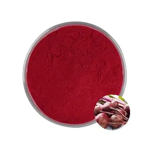 Responsible Price pure Red Beet Root Juice Powder Available At Weight Loss Products High Quality Beet Root Powder OEM Service