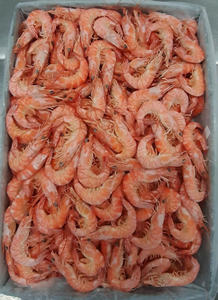 Camarones Vannamei Enteros Cocidos Premium C.HOSO Congelados - Product Image 4