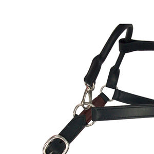 Halter de Entrenamiento Diario Premium, Hecho a Mano, Cómodo, de Cuero para Montura Inglesa, Ajustable, Duradero, Acolchado Suave, Diseño Elegante - Product Image 3