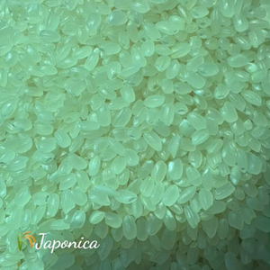 Arroz Japonés Premium de Grano Corto para Sushi - Pegajoso y Aromático |   Calidad de Exportación |   Suministro a Granel - Product Image 1