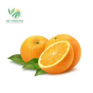 VIETNAM FROZEN ORANGE kualitas tinggi/tanaman baru 2024 harga bagus