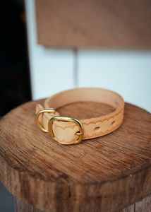 Collier pour chien en relief-Pétoncle-25mm-Naturel intelligent - Product Image 5