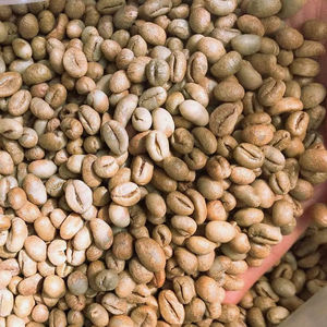 High Quality Vietnam Specialty Arabica Green Coffee <b>Beans</b> Size 16 100% Natural USDA Certified TNFOOD Brand G1/G2 Grade 1000kg - Product Image 1