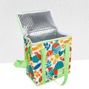 Bolsa Térmica Plegable y Portátil de Tela No Tejida con Cierre de Cremallera, Ecológica, Resistente a Impactos, Tamaño y Empaque Personalizables - Product Image 3