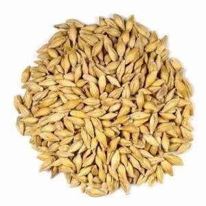 Wholesale <b>Barley</b> Grains Best Price, Feed <b>Barley</b>, <b>Barley</b> for Animal - Product Image 1