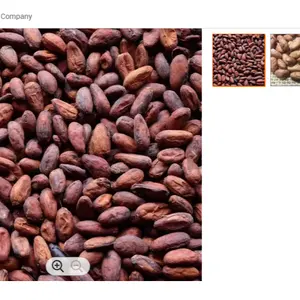 50kg bag pack Cocoa Beans Ariba Cacao Beans Dried Raw Cocoa Beans