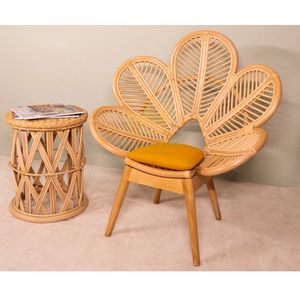 Silla de mimbre para interiores, nuevo diseño, aspecto de bambú, restaurante, exterior e interior - Product Image 1