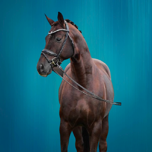 Bride de cheval conception personnalisée pas cher prix de gros bride de cheval conçue sur mesure - Product Image 6