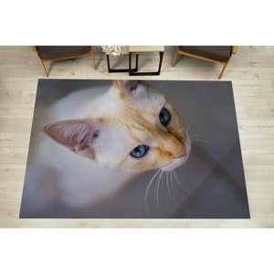 Alfombra con Estampado de Gatos, Perfecta para Amantes de los Gatos, Decoración del Hogar, Alfombra Suave No Tejida - Product Image 4