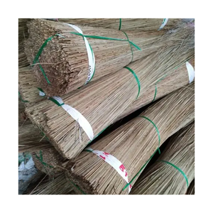 Balai de vente chaude VIETNAM COCO-PRODUIT ÉCOLOGIQUE avec APPROVISIONNEMENT D'EXPORTATION EN VRAC et QUALITÉ PREMIUM de 99 GD - Product Image 1