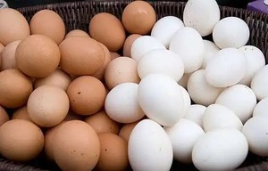 ไข่ไก่สดเกรดพรีเมียมคุณภาพสูง ราคาถูก ขายส่งจำนวนมาก ปี 2026 ขายดี สีขาว/สีน้ำตาล ผลิตในเยอรมนี - Product Image 3