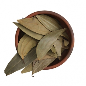 Huile de feuille de laurier 100% pur et naturel en gros en vrac prix le plus bas emballage personnalisé - Product Image 3