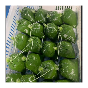 Export Grade Frozen Ground Hojas de yuca Proveedor de Vietnam a granel al por mayor en todo el mundo - Product Image 5