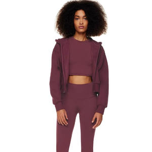 Precio Directo de Fábrica: Sudaderas con Capucha de Forro Polar para Mujer, Personalizadas, Manga Larga, con Logotipo Frontal, en Venta - Product Image 4