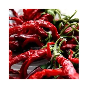 Top Quality Wholesale Dried red pepper hot and spicy dried chilli