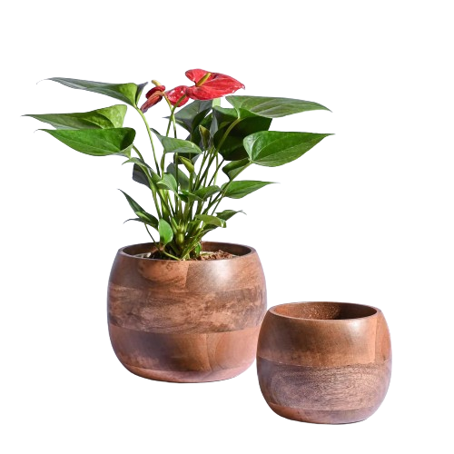 กำหนดเอง