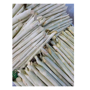 Peeled Frozen Sugarcane from Vietnam Juicy Cut Sticks with Natural Sweetness for Export, <b>Juicers</b>,and Drink Industry Distributors - Product Image 6