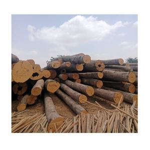 Meranti Wood à vendre au meilleur prix en ligne - Product Image 3