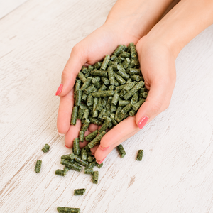 Vica Delicias Pellet di Erba Medica 100% Naturale, 17% Proteine Grezze, Senza Polvere, Proteine di Grado Alimentare per Bovini da Latte, Cavalli, Pollame, 25kg - Product Image 3