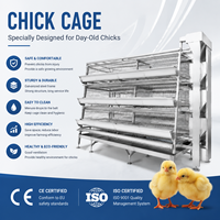 Système de cage à batterie multicouche de haute qualité, cage à poulets automatique pour équipement d'élevage avicole commercial
