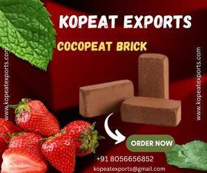 อิฐ650grm มะพร้าวพรุ (มะพร้าว Coir) การกักเก็บน้ำสูงเป็นมิตรกับสิ่งแวดล้อมบัฟเฟอร์ขนาดกลางปลูกธรรมชาติสำหรับพืชสวน - Product Image 6