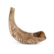 Vente en gros de cornes de bélier traditionnelles artisanales exquises pour rituels juifs cornes de shofar polies d'Inde - Product Image 2