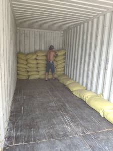 Polvo recto de Chondrus Crispus/Polvo de musgo marino de Vietnam de alta calidad/Sra. Lima - Product Image 6