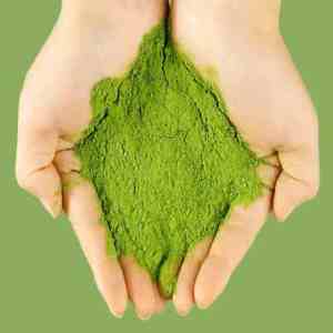 HOJA DE PANDAN HERBAL/IMPULSO DE INMUNIDAD/ETIQUETA LIMPIA/RICO EN ANTIOXIDANTES - Product Image 1