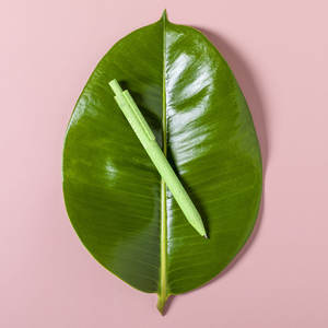 ปากกาเขียนบทความที่ยั่งยืน M726772-334 - Product Image 3