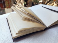 Journaux en cuir gaufré double dragon en relief personnalisés avec pages en papier fait main en coton