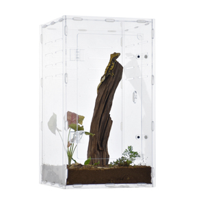 Direkt vom Hersteller Kristallklarer Umweltfreundlicher Vivarium für Isopoden-Kolonien Frontzugang Werkzeugfrei Kleine Mindestbestellmenge Acryl-Insektenhabitat - Product Image 3