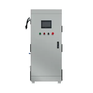 Generator ozon PLC untuk desinfeksi gandum, tipe plat konsentrasi tinggi 50g 100g 300g