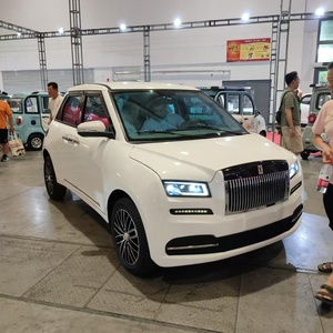 Coche Eléctrico de Lujo de Baja Velocidad al por Mayor 3500W Pequeño Vehículo de Nueva Energía para Adultos y Familia con Radio y Funciones Inteligentes - Product Image 4