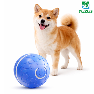 C Tipi Şarj Edilebilir Işıklı Elektrikli Yuvarlanan Köpek Topu Akıllı Uyandırma Etkileşimli İç Mekan Oyuncak Evcil Hayvan Oyuncağı - Product Image 1