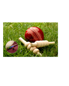 Broche de metal pintado con insignia de críquet sudafricano, accesorio de moda para ropa y bolsos, regalo novedoso, recuerdo nacional - Product Image 3