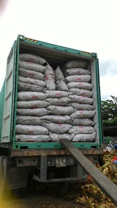 [Giá tốt nhất] than vỏ dừa cỡ lớn có độ ẩm dưới 10%-Kích thước lớn-dễ cháy và bền vững - Product Image 6