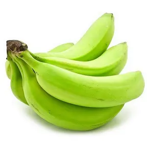 Bananes d'equateur jaune vert PREMIUM Style banane tropicale couleur Cavendish poids Type d'origine certificat variété de qualité