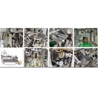 Machine de remplissage et de scellage automatique de boissons à haut niveau de sécurité 1300KG, pour sacs en papier et plastique, avec fonction de collage, haute productivité