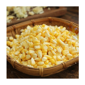 Maïs sucré congelé de qualité supérieure prêt à l'emploi de haute qualité pour les usines de conserves Restauration rapide et fabricants de produits alimentaires - Product Image 6