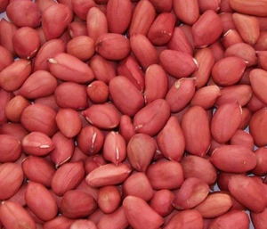 Granos de cacahuete de piel roja secos al por mayor, venta al por mayor, precios bajos para fabricantes de alimentos y Chefs - Product Image 4
