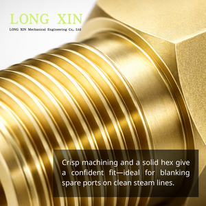 LONGXIN Raccord à visser en laiton BSPT R1/2-14 mâle, bouchon hexagonal 22 mm L52 mm pour conduite de vapeur JTSP-12PM - Product Image 3