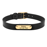 Collar y Correa para Perro de PVC Suave, Impermeable, con Logotipo Personalizado, Acolchado, Moderno y Duradero, con Hebilla de Seguridad