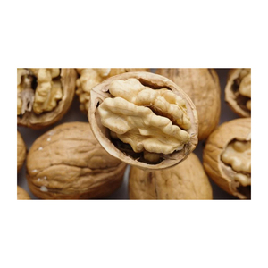 Noix de qualité supérieure en gros à vendre à prix avantageux - Product Image 6